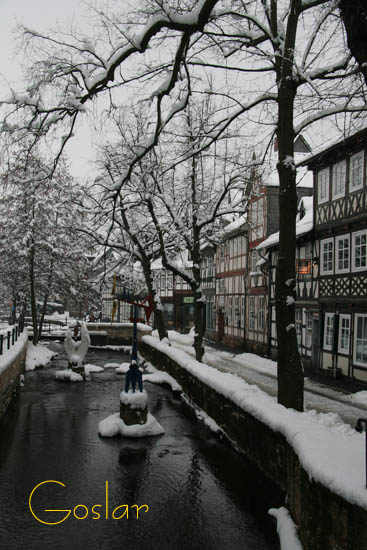 Goslar med snoe